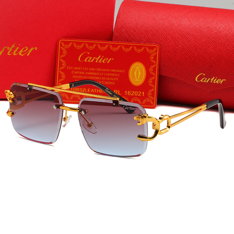 Cartier sunglasses-C5903S